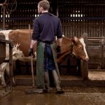 Bryce in the Cowshed