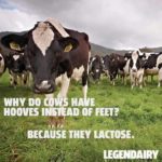 Legendairy