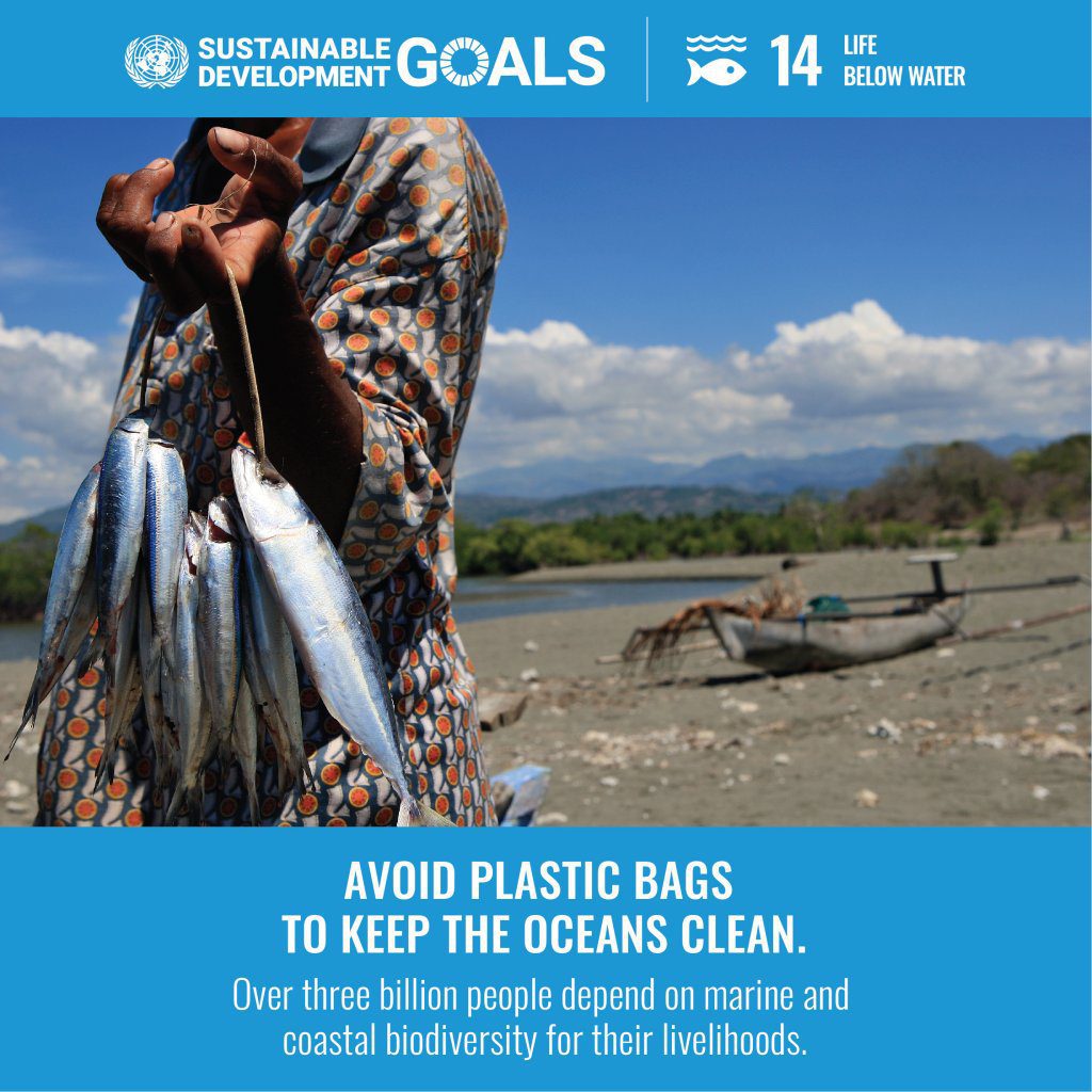 Mossgiel Organic Farm Meeting UN Sustainable Development Goal 14-1024x1024