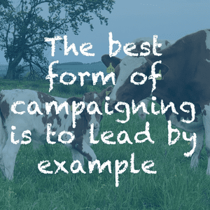 The best form of campaigning is to lead by example