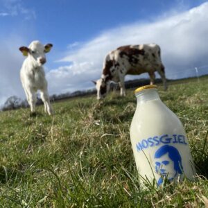 Picture of a Pint Bottle of Mossgiel Organic Farm Cow-With-Calf Milk, in a Field