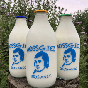 Mossgiel Calf-With-Cow, Whole and Semi-Skimmed Milk - Tastier than normal!