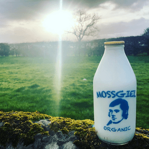 Picture of a glass bottle pint of Mossgiel Cow-With-Calf Milk sitting on a stone wall against a background of fields.