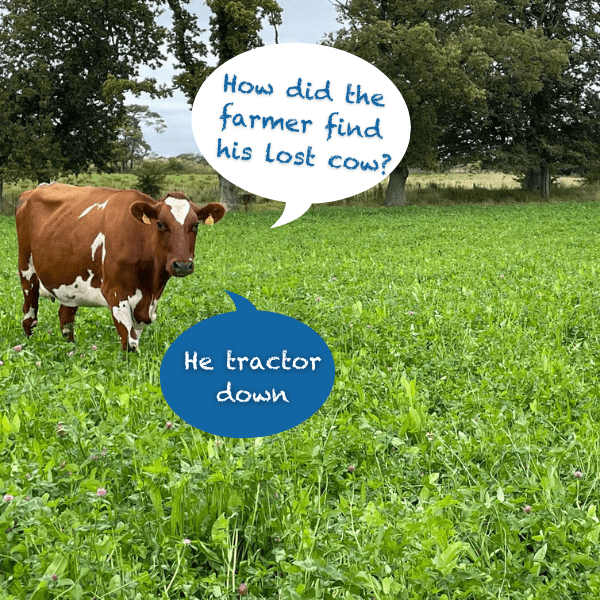 Joke - How did the Farmer find his lost Cow?