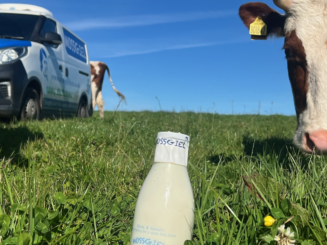Mossgiel milk bottle ready for delivery